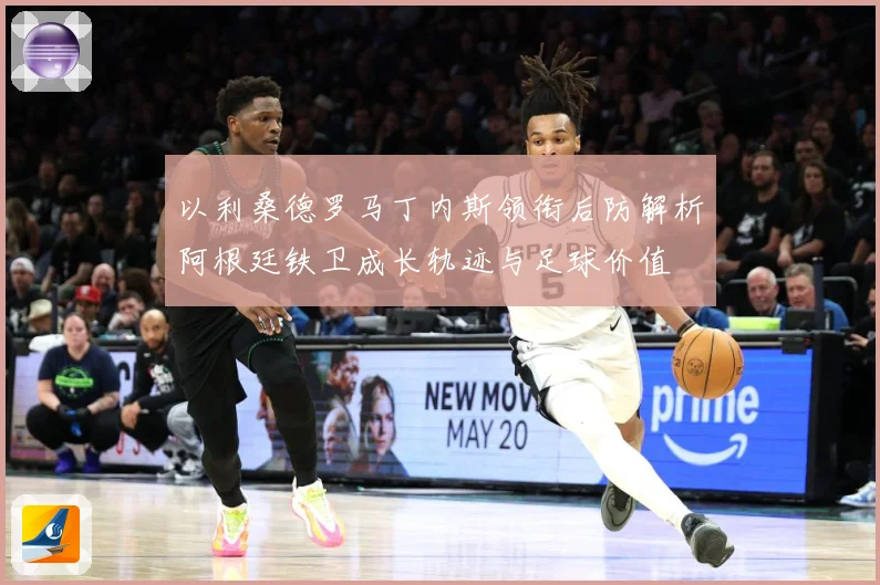 以利桑德罗马丁内斯领衔后防解析阿根廷铁卫成长轨迹与足球价值