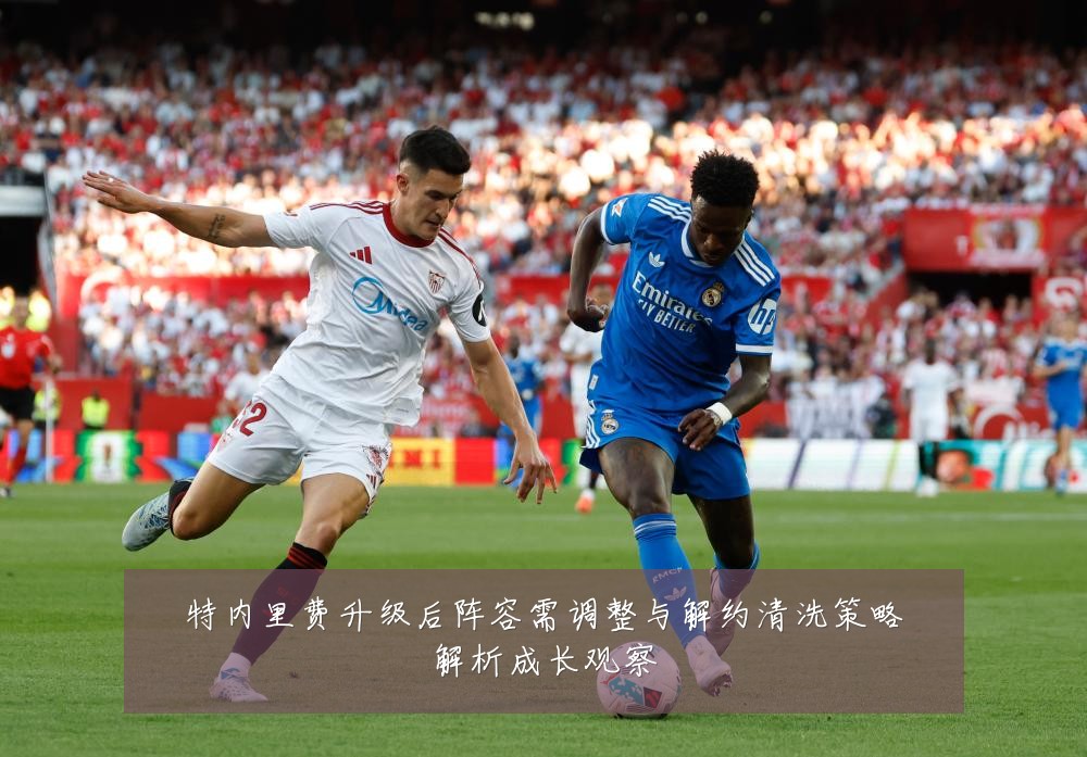 特内里费升级后阵容需调整与解约清洗策略解析成长观察