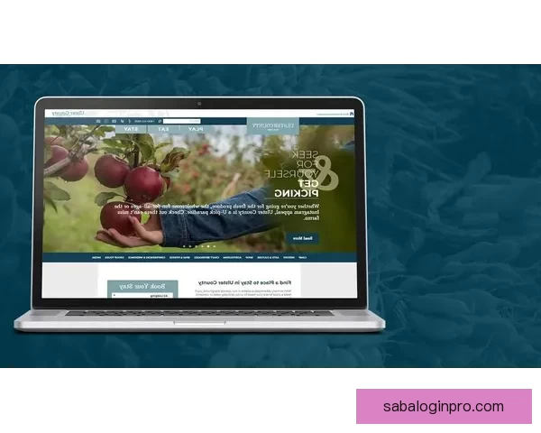 基于数据模型与球队状态的世界杯买球策略深度分析与风险控制指南