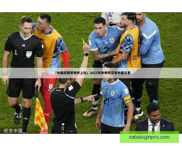 基于世界杯历史数据的竞猜分析与策略探讨