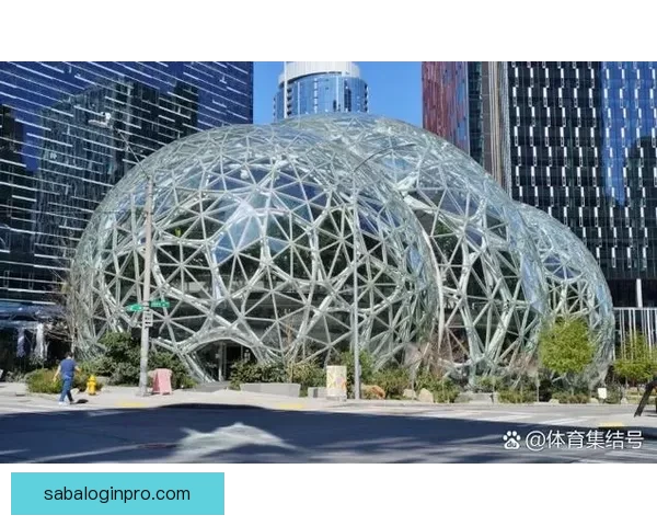 拉斯维加斯新球队或能摆脱博彩形象 11大潜在队名曝光分析 拉斯维加斯新球队或能摆脱博彩形象 11大潜在队名曝光分析